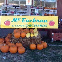 Mceachran & Sons Orchards