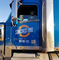 Suncoast Lumber