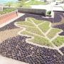 ?????????? ?????????? are a popular option to increase green space in the wake of rapid urban development. Some benefits include:
?? improved water runoff control
?? increased green space/ biodiversity
?? decreased energy costs
?? increased aesth ?????????? ?????????? are a popular option to increase green space in the wake of rapid urban development. Some benefits include:
?? improved water runoff control
?? increased green space/ biodiversity
?? decreased energy costs
?? increased aesth