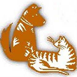All Creatures Pet Grooming