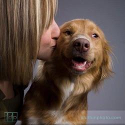 Huntington Animal Hospital