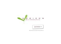 Horizon Multiressource Incorporated
