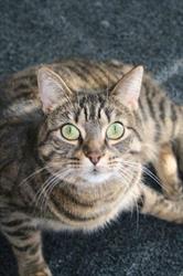Malton Veterinary Services