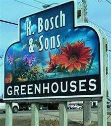 K Bosch & Sons Greenhouses