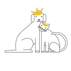 Kingsway Veterinary Clinic