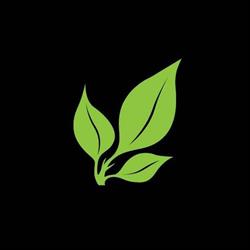 Para Space Landscaping Incorporated