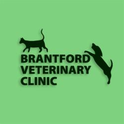 Brantford Veterinary Clinic