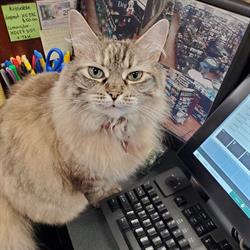 Pet Valu