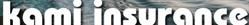 Kami Insurance Agencies Ltd.