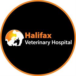 Halifax Veterinary Hospital