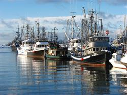 Steveston Harbour Authority