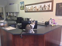 Acadia Veterinary Clinic LTD