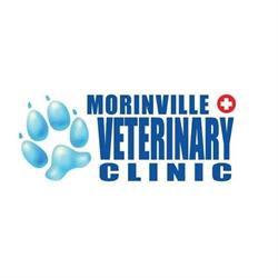 Morinville Veterinary Clinic