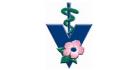 High River Veterinary Clinic