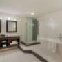 Jacuzzi Suite Tub and Shower Jacuzzi Suite Tub and Shower