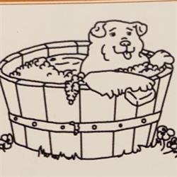 Sudsy Dog Grooming Salon The