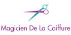 Le Magicien De La Coiffure