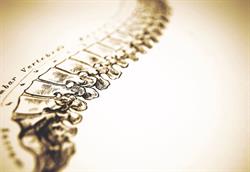 Creekside Family Chiropractic