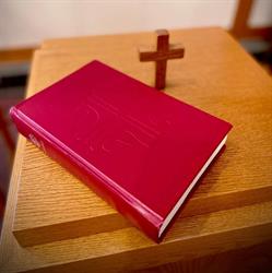 Good Shepherd Lutheran Church