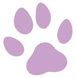 Schomberg Veterinary Services