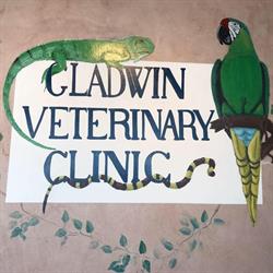 Gladwin Veterinary Clinic Ltd