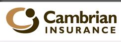 Cambrian Insurance Brokers Ltd