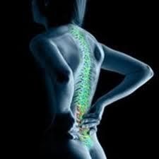 Optimum Clinique de Chiropratique