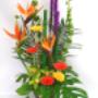 -L'Amazone:
Ce bouquet de fleurs est composé de mollucellas, d'oiseaux du paradis, de liatris violet, de gerberas jaunes et oranges, de cymbidius, de feuilles de monteras et de bambous. -L'Amazone:
Ce bouquet de fleurs est composé de mollucellas, d'oiseaux du paradis, de liatris violet, de gerberas jaunes et oranges, de cymbidius, de feuilles de monteras et de bambous.