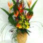 -L'Artifice:
ce bouquet de fleurs est composé d'oiseaux du paradis, d'eliconias, de liatrices, de cymbidium vert, de lys callas obergines, de pinochio jaune et de feuilles d'accordéons. -L'Artifice:
ce bouquet de fleurs est composé d'oiseaux du paradis, d'eliconias, de liatrices, de cymbidium vert, de lys callas obergines, de pinochio jaune et de feuilles d'accordéons.