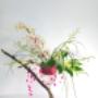 -Le Féminin:
ce bouquet de fleurs est composé de cymbidium blancs et roses, de dendrobium blancs, de bear grass, d'aralias et de perles. -Le Féminin:
ce bouquet de fleurs est composé de cymbidium blancs et roses, de dendrobium blancs, de bear grass, d'aralias et de perles.