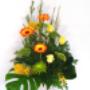 -Éclosion Printanière:
ce bouquet de fleurs est composé de mimosas jaunes, de gerberas, de fujis verts, de roses jaunes, de monsteras et d'apidastras. -Éclosion Printanière:
ce bouquet de fleurs est composé de mimosas jaunes, de gerberas, de fujis verts, de roses jaunes, de monsteras et d'apidastras.