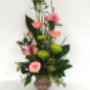 Corbeille au Féminin:
ce bouquet de fleurs est composé d'astromerias roses, de roses geraldines, d'hepericum roses, de fujis verts et d'eucalyptus parvifolia. Corbeille au Féminin:
ce bouquet de fleurs est composé d'astromerias roses, de roses geraldines, d'hepericum roses, de fujis verts et d'eucalyptus parvifolia.