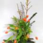 -La Bûche en Tulipes:
ce bouquet de fleurs est composé de tulipes oranges de wax blancs, de forsythias et d'aster solidagos jaunes. -La Bûche en Tulipes:
ce bouquet de fleurs est composé de tulipes oranges de wax blancs, de forsythias et d'aster solidagos jaunes.
