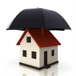 Allena Chong Insurance Agencies Ltd