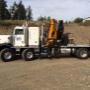 50 Ton Knuckle 50 Ton Knuckle