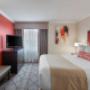 Suite Suite