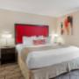 Suite Suite