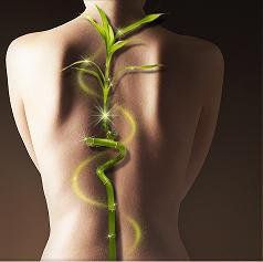 Health For Life Family Chiropractic