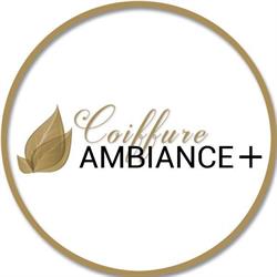 Renée Faucher Coiffure Ambiance Plus