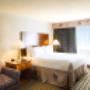 Executive King Suite Executive King Suite