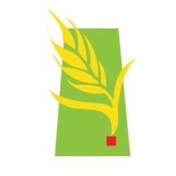 Rural Municipality Of Weyburn No 67