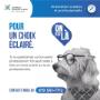 Pour un choix éclairé | orientation scolaire et professionnelle
Tu te questionnes sur ton avenir professionnel? On peut t’aider à faire un choix éclairé sur ta vie professionnelle.
Contacte-nous au 819 561-7712. Pour un choix éclairé | orientation scolaire et professionnelle
Tu te questionnes sur ton avenir professionnel? On peut t’aider à faire un choix éclairé sur ta vie professionnelle.
Contacte-nous au 819 561-7712.