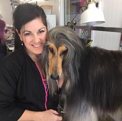 Town n Country Grooming & Pet Supplies
