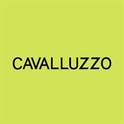 Cavalluzzo Hayes Shilton Mcintyre & Cornish