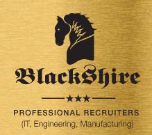 Blackshire Technical Recruiting Services