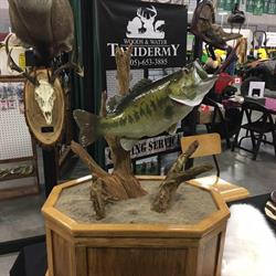 Woods and Water Taxidermy and Guiding Services