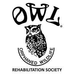 Owl (Orphaned Wildlife) Rehabilitation Society