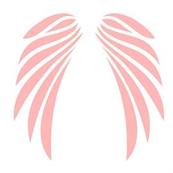 Productions La Cour Des Miracles Inc Pcdm (Les)