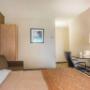 Guest room with sofa sleeper Guest room with sofa sleeper