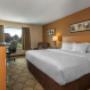 Guest room with king bed(s) Guest room with king bed(s)